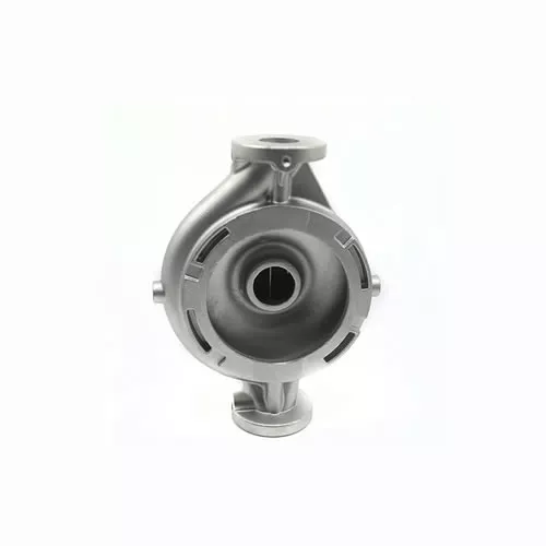 stainless steel casting pumps & valves-1-Image-SAIVS