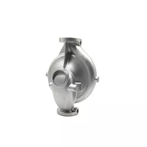 stainless steel casting pumps & valves-2-Image-SAIVS