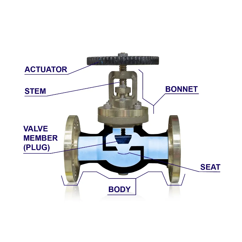 basic components inside the valve